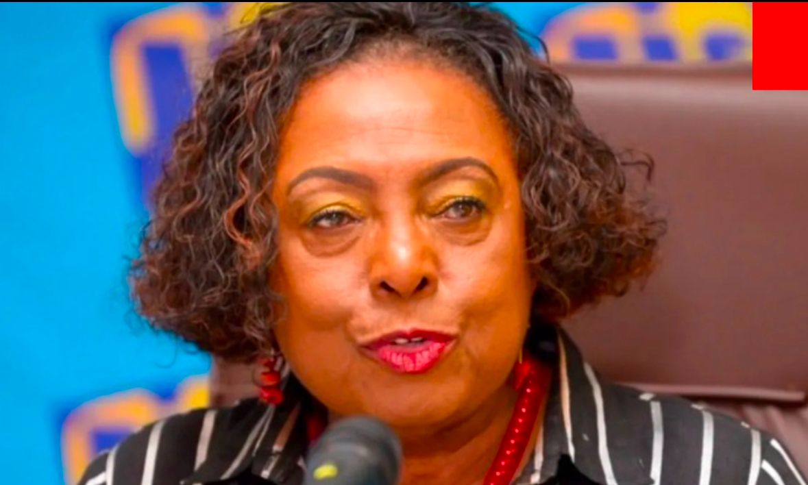 Minister Grange announces I Love Jamaica relief concert series