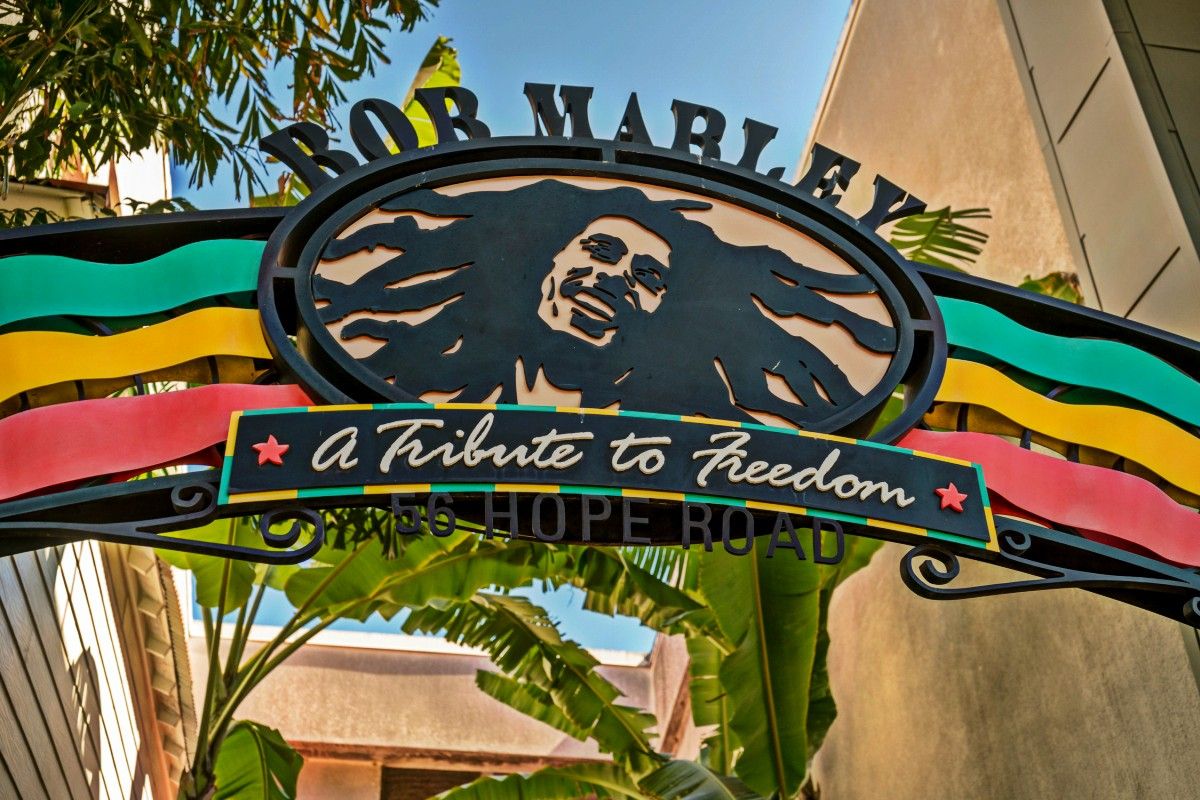 Bob Marley group of companies closed due to inclement weather