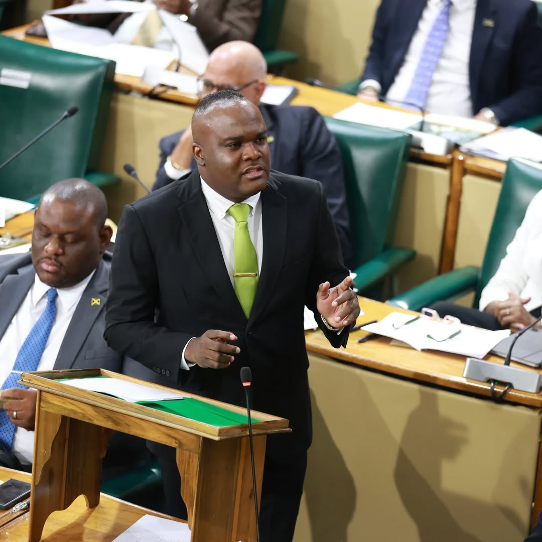 Fitz-Henley welcomes improvement in Jamaica’s Housing Quality Index